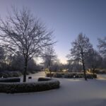 20251230_080526 Blick vom Clubhaus zum Torhaus